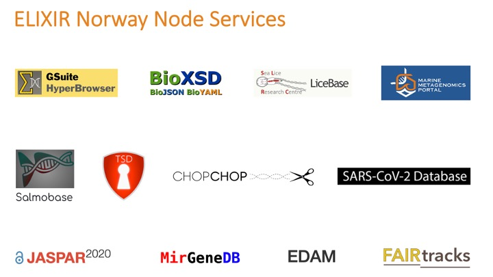 Eight new services join the Service Delivery Plan of ELIXIR Norway